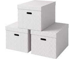 Karton Opbergdozen - 46L Capaciteit - 100% Gerecycled Materiaal - Set van 3