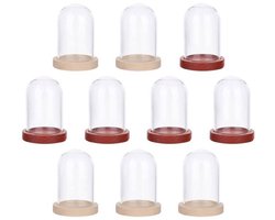 KARZO - 10 sets mini glazen stolpen met transparante koepel en houten basis in 2 kleuren, 3,8 x 2,5 cm, ideaal voor het tentoonstellen van planten, stenen en decoraties