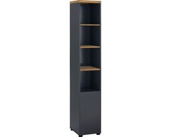 Kast 1 deur en 3 planken in MDF wit en antraciet