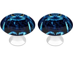 Kast Knoppen - Lade Trekkers - Meubels Vernieuwen - Blauw Uil Patroon - 2 Stuks - Wit