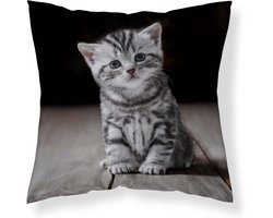 Kat Poes Sierkussen kussen 40x40cm incl vulling 230grms