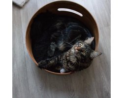 Kattenmand - Katten mand - Kleine hondenmand - Bamboe Print - Kleine Hondenmand - Dubbelzijdig Kussen - Voor Kat of Hond - 40x40x23 cm