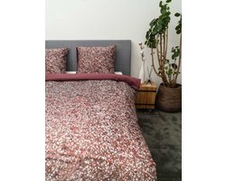 Kayori - Sato - DBO - Pima - 240/200-220 - Rood
