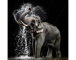 K&C Art (Glasschilderij) 100x100cm | Wassende olifant - dier - fotokunst - zwart - grijs - bruin - wit - modern - kunst | Woonkamer - slaapkamer - hal - kantoor | Foto schilderij print op acrylglas - wanddecoratie - muurdecoratie - wall art