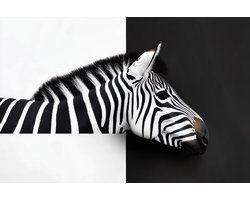 K&C Art (Glasschilderij) 60x40cm | Artistiek portret zebra - dier - zwart - wit - bruin - modern - kunst | Woonkamer - slaapkamer - hal - kantoor | Foto schilderij print op acrylglas - wanddecoratie - muurdecoratie - wall art