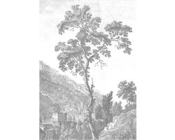 KEK Amsterdam Engraved Landscape| fotobehang van | WP-312| 4 baans behang