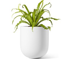 Keramische Bloempot met Afvoergat en Rubberen Stopper, 15 cm, Ideaal voor Kruiden en Kleine Kamerplanten, Decoratieve Cilinder Bloempot voor Thuis en Kantoor, Wit