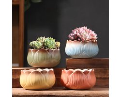 Keramische decoratieve bloempotten voor vetplanten en cactussen - set van 4 met afvoergat voor binnen en buiten - tuinplanten en zaden