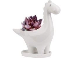 Keramische Dinosaurus Bloempot - Decoratie voor Vetplanten - 1 stuk - Multicolor - Keramiek