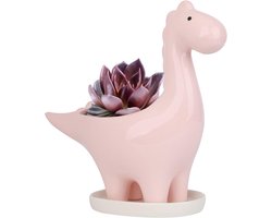 Keramische Dinosaurus Bloempot voor Cactussen en Vetplanten - Uniek Design voor Huis en Tuin