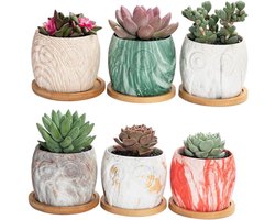 Keramische Plantenpotten - Bloempotjes Tafeldecoratie - Kamerplanten Verpotten - IJskraak Porselein - 6.5X7CM - Gekleurd