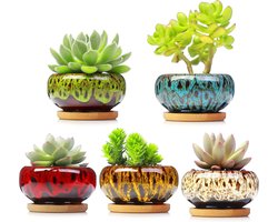 Keramische plantenpotten - Vetplant bakjes - Decoratief gebruik - Met drainage schotel - Set van 5 - Levendige kleuren
