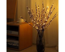 Kerst wilgentakken set - 20 LEDs - Warm wit