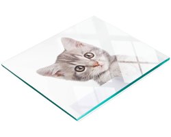 Keukenplank van gehard glas met decoratieve afbeelding van een grijze kat, 60x52 cm