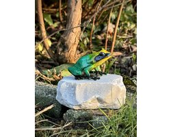 Kikker gekleurd op rots MASSIEF BRONS 10 cm hoog - bronzen beeld - tuinbeeld - hoogkwalitatief brons - decoratiefiguur - interieur - accessoire - voor binnen - voor buiten - cadeau - geschenk - kerst - nieuwjaar - verjaardag