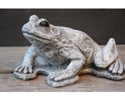 Kikker, geschikt voor binnen of buiten