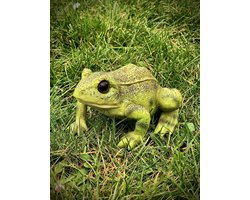 Kikker groen (Ess) 8 cm hoog - polyester - polystone - beeld - tuinbeeld - hoogkwalitatieve kunststof - decoratiefiguur - interieur - accessoire - voor binnen - voor buiten - cadeau - geschenk - verjaardag - Kerst - nieuwjaar