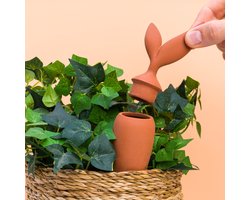 Kikkerland Bewateringswortel