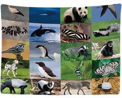 Kinderen - Decoratie - Versiering - Kind - Wandkleed binnen - Wandtapijt - Natuur - Dieren - Muurkleed - Wanddoek Stof - 200 x 150 cm - Fotobehang - Poster - Ulticool - Jongen - Meisje