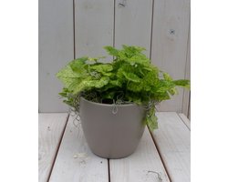 Kindje op moeders schoot in taupe pot 25 cm