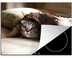 KitchenYeah® Inductie beschermer 60x52 cm - Poes - Deken - Bank - Kookplaataccessoires - Afdekplaat voor kookplaat - Inductiebeschermer - Inductiemat - Inductieplaat mat