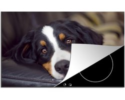 KitchenYeah® Inductie beschermer 76x51.5 cm - Een Berner Sennenhond liggend op de bank - Kookplaataccessoires - Afdekplaat voor kookplaat - Inductiebeschermer - Inductiemat - Inductieplaat mat