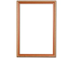 Klassieke Lijst 50x60 cm Goud Oranje - Abby