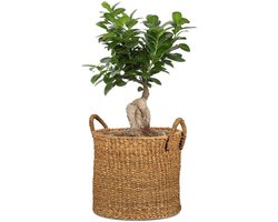 Klassieke mandbak van zeegras - waterdicht - 1 stuk - Seagrass groef