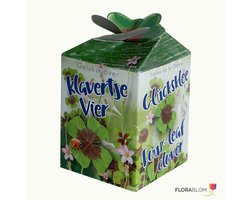 Klavertje-vier Greengift - (Ook)-Voor in huis
