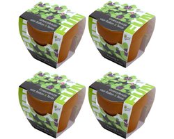Klavertje Vier - Grow Gift - 4 Minipotjes voor kweken van Klavertje Vier - Gratis Verzonden