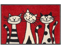 Kleen-Tex Wash-Dry Design Wasbare Deurmat - Three Cats - 50 x 75 cm