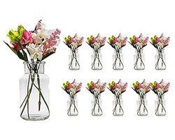 Kleine Glazen Vazen Set van 10 Stuks - Decoratieve Flessen voor Bloemen