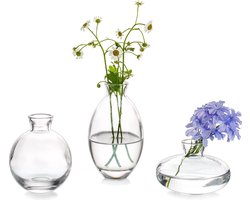 Kleine Vaas Voor Tafeldecoratie Handgemaakte Glazen Vazen ​voor Bloemen, 3-Delige Doorzichtige Vintage Bud-Vazen ​​esthetische Minivaasset Voor Kawaii Woonkamerdecoratie Slaapkamerornamenten