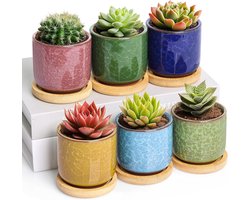 Kleurrijke Keramische Plantenpot Set - Decoratief en Functioneel - 6 Stuks - Klein