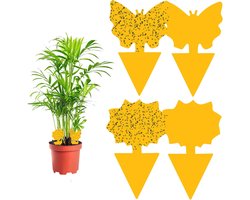 Kleverige Vliegenvallen voor Fruitvliegjes en Muggen - 60 Stuks Dubbelzijdige Sticky Borden voor Balkon en Tuin