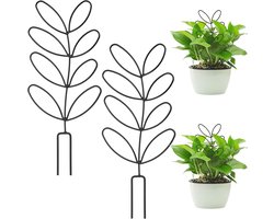 Klimhulp voor kamerplanten en tuin - 2 stuks metalen plantensteun 30 cm
