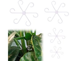 Klimmen Kamerplant Stengelsteunen Plastic Plantenklimmers Stengelhouders Herbruikbare Plantenstamhaak Groeiaccessoires voor Planten (Transparant)