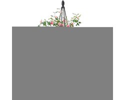Klimplant Ondersteuning - Plantensteun Metaal - Planten Klimmen - Roestvrij Duurzaam - 129 cm Hoog - Multicolor