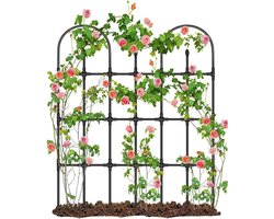Klimplant rooster - Verticale steun - Planten ondersteunen - Roestvrij staal kern - 33x90cm - Multicolor