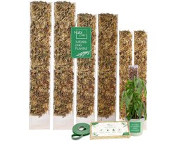 Klimplant Standaard - Verticale Groei Hulp - Planten Ondersteunen - Modulair Stapelbaar - 3 Maten Set - Transparant