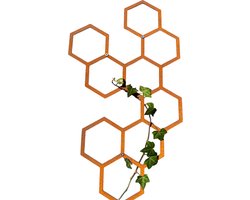 Klimplantrek HEXA - CORTENSTAAL - Buiten - Klimop - Muurmontage