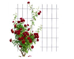 Klimrek - 2 stuks - 45x115 cm - zwart