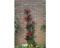 Klimrek Metaal - Plantensteun - Planten Ondersteunen - Verzinkt - 145x72.5cm - Zilver