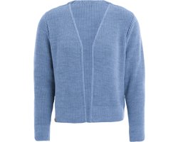 Knit Factory - Lenny Gebreid Vest - Gebreide dames cardigan - Kort vest op heuphoogte - Lichtblauwe damesvest gemaakt uit 30% wol en 70% acryl - Crystal Blue - 40/42