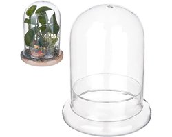 Koepelvormige glazen afdekking 150 x 200 mm voor terrarium display - Tafeldecoratie met sokkel voor rotsen en monsters