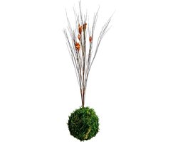 Kokedama met bloemen - Bloeit altijd - 100% natuurlijk - Oranje bloemen