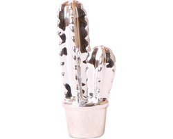 Kolibri Home | Ornament - Decoratie Beeld Cactus