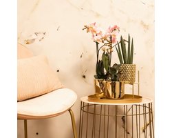 Kolibri Home | Plantenstandaard - Gouden metalen planten verhoging - Ø 12 cm