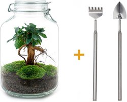Kolibri Home | Tube sierpot - Black