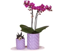 Kolibri Orchids | Gift set Optimism small lila | Groene plant met oranje Phalaenopsis orchidee in Candy sierpotten op wit organisch dienblad